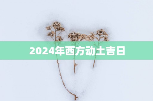2025年西方动土吉日