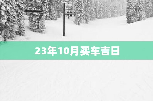 23年10月买车吉日