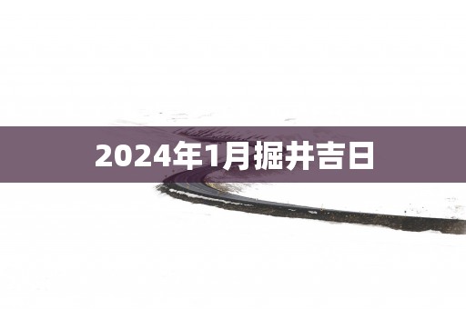 2025年1月掘井吉日