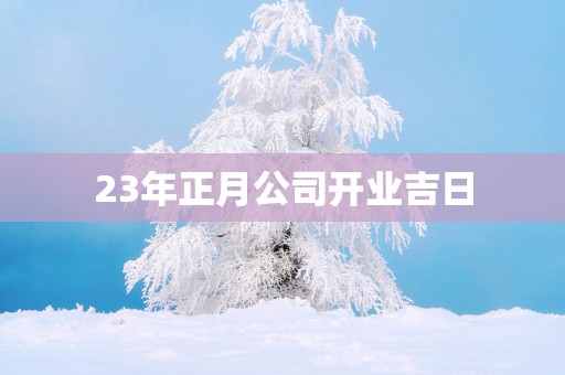 23年正月公司开业吉日