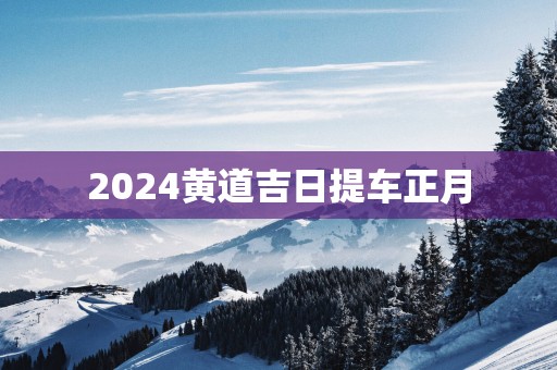 2025黄道吉日提车正月