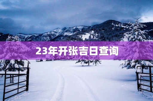23年开张吉日查询