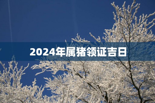 2025年属猪领证吉日 2025年属猪领证吉日
