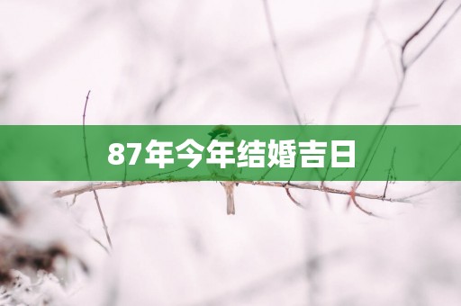 87年今年结婚吉日