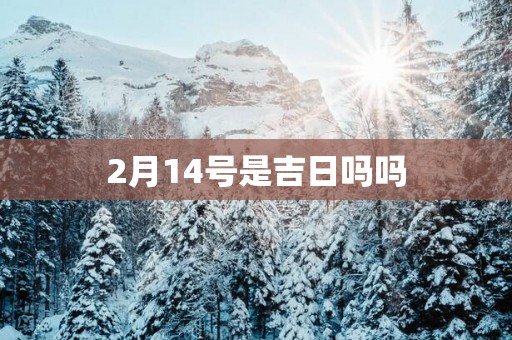 2月14号是吉日吗吗