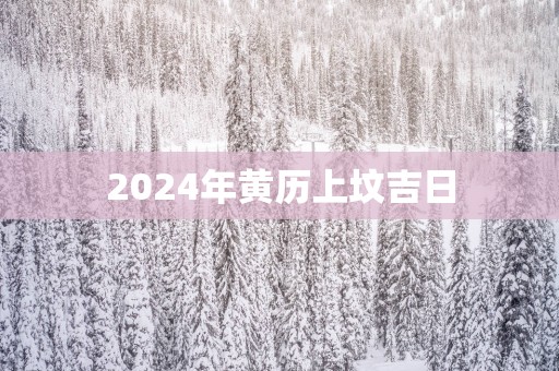 2025年黄历上坟吉日