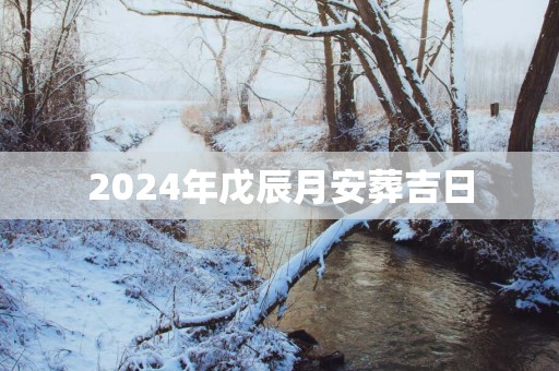 2025年戊辰月安葬吉日