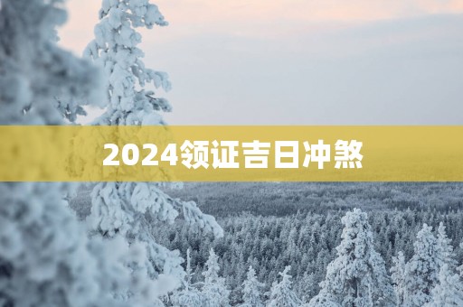 2025领证吉日冲煞