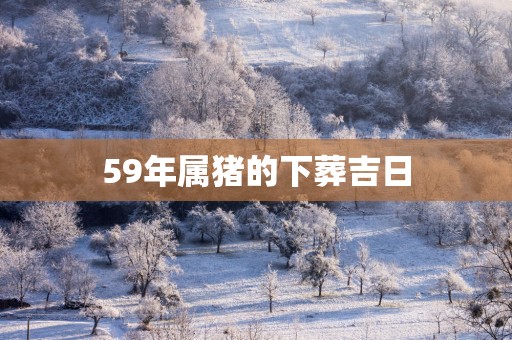 59年属猪的下葬吉日