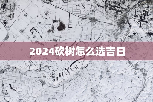 2025砍树怎么选吉日