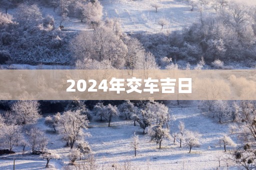 2025年交车吉日