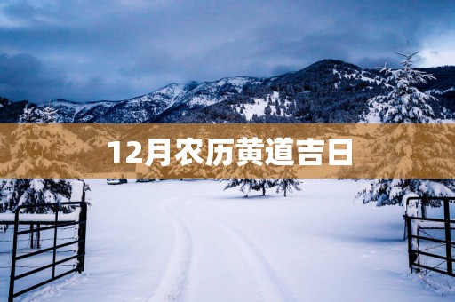 12月农历黄道吉日