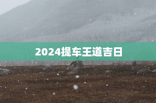 2025提车王道吉日