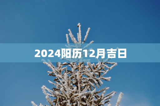 2025阳历12月吉日