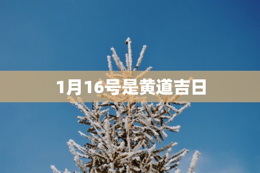 1月16号是黄道吉日