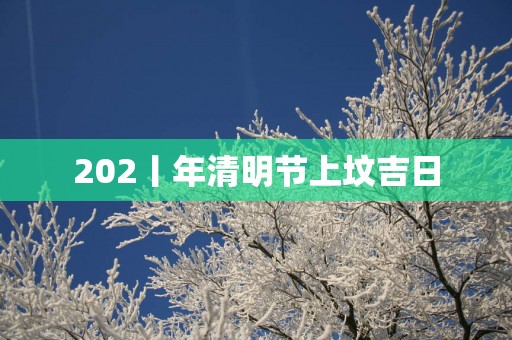 202丨年清明节上坟吉日