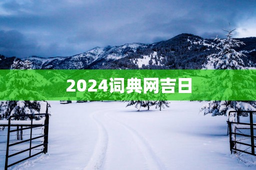 2025词典网吉日