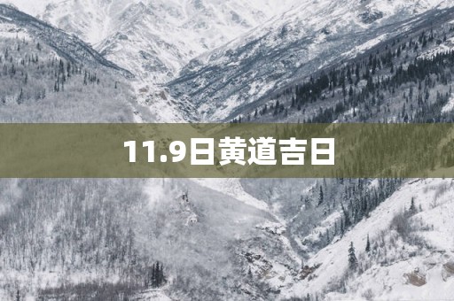 11.9日黄道吉日