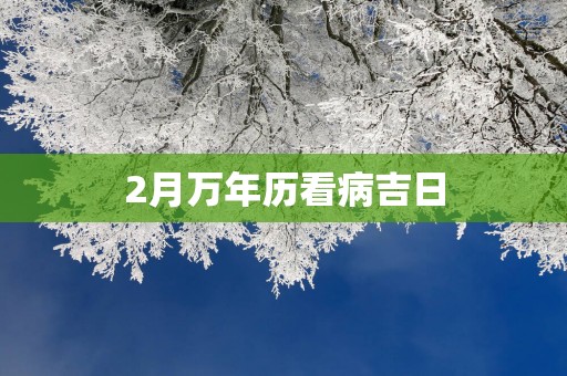 2月万年历看病吉日