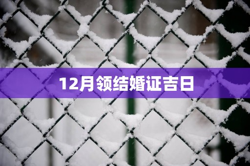 12月领结婚证吉日