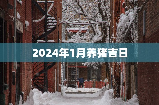 2025年1月养猪吉日