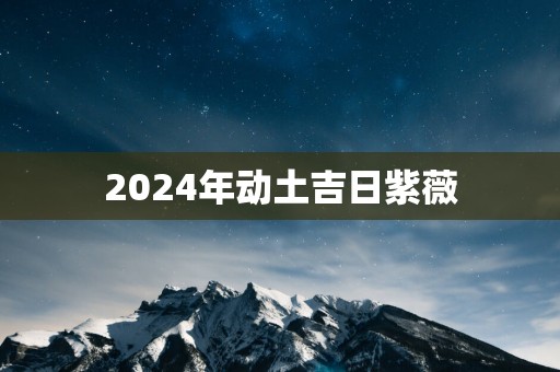 2025年动土吉日紫薇
