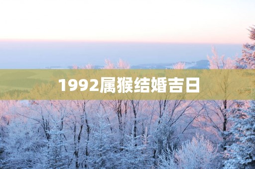 1992属猴结婚吉日