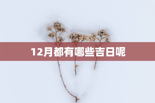 12月都有哪些吉日呢