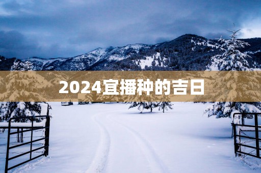 2025宜播种的吉日