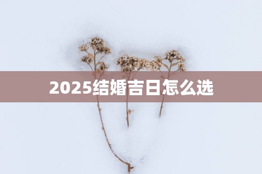 2025结婚吉日怎么选