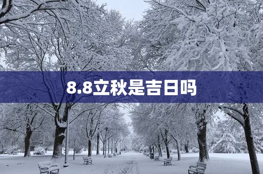 8.8立秋是吉日吗