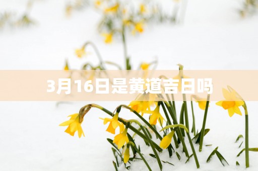3月16日是黄道吉日吗