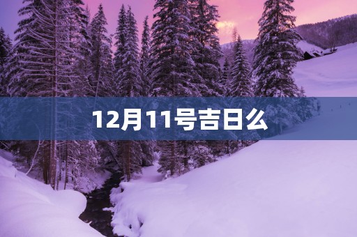 12月11号吉日么