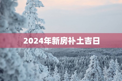 2025年新房补土吉日