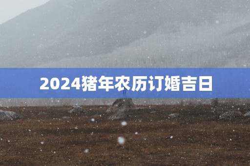 2025猪年农历订婚吉日