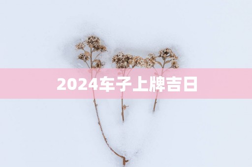 2025车子上牌吉日