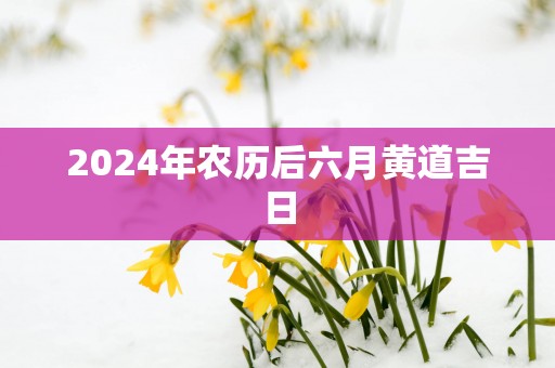 2025年农历后六月黄道吉日