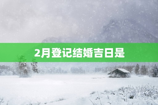 2月登记结婚吉日是