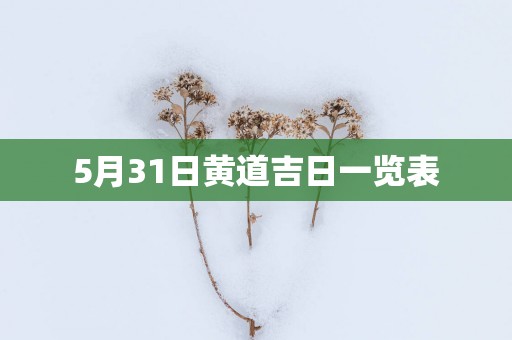 5月31日黄道吉日一览表