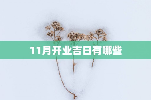11月开业吉日有哪些