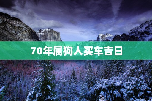 70年属狗人买车吉日