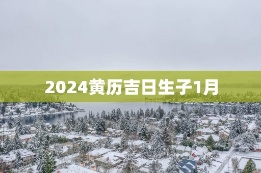 2025黄历吉日生子1月