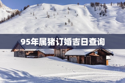 95年属猪订婚吉日查询