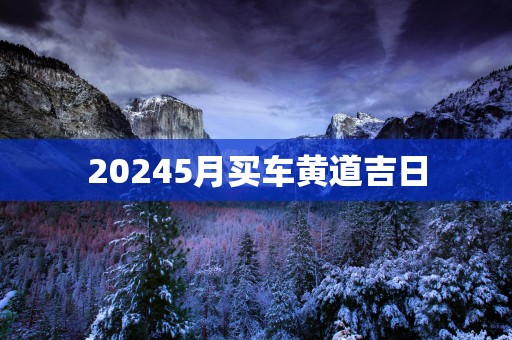 20255月买车黄道吉日