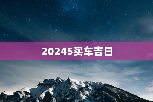 20255买车吉日