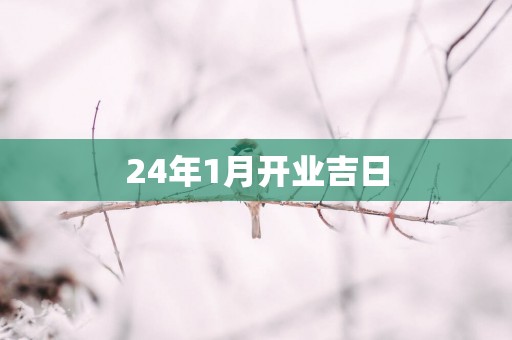 24年1月开业吉日