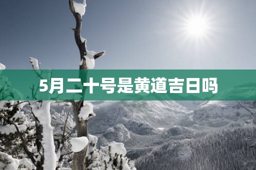 5月二十号是黄道吉日吗