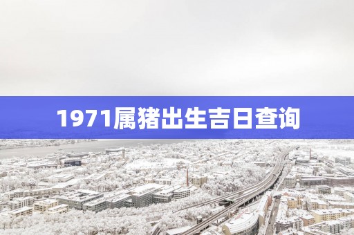 1971属猪出生吉日查询