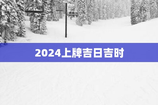 2025上牌吉日吉时