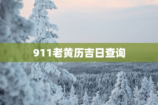 911老黄历吉日查询